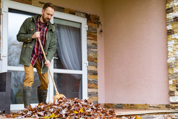 Attic Cleanout Services in Fobes Hill, WA